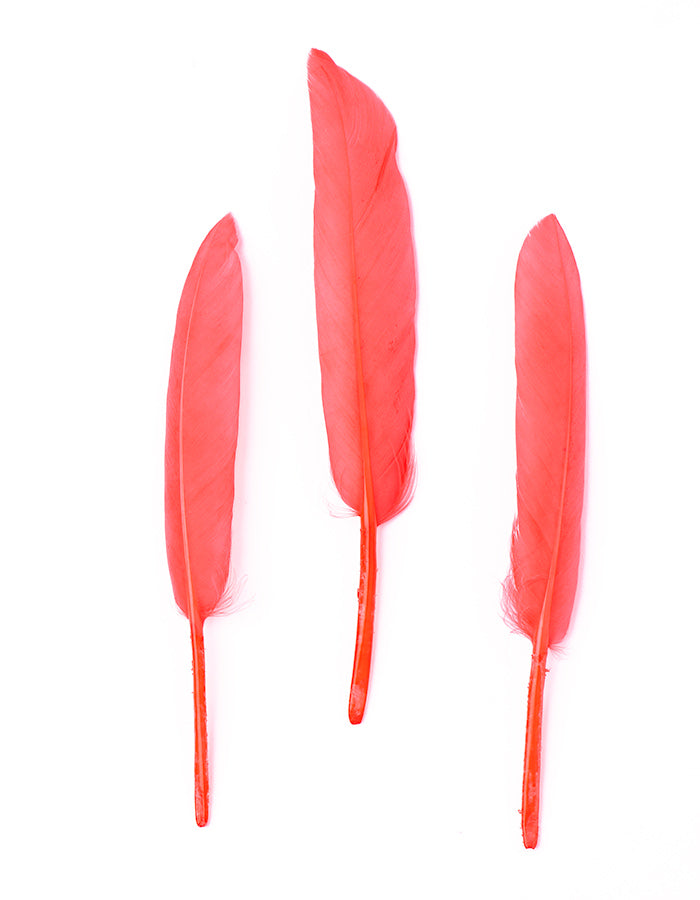 Hajékszer színes toll hajdísz Pink AFROline (1db)